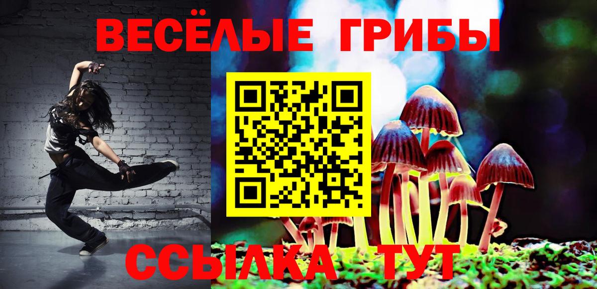 Кемерово  Галлюциногенные грибы Cubensis  Вход с VPN 